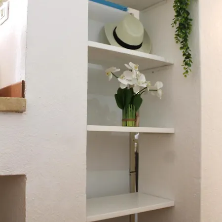 - Sofia * 维拉西米乌斯