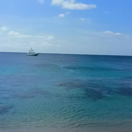 - Sofia * 维拉西米乌斯