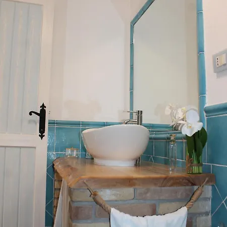 - Sofia * 维拉西米乌斯