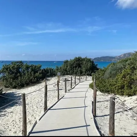 - Sofia 维拉西米乌斯