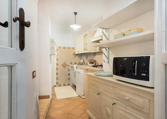 - Sofia * 빌라시미우스